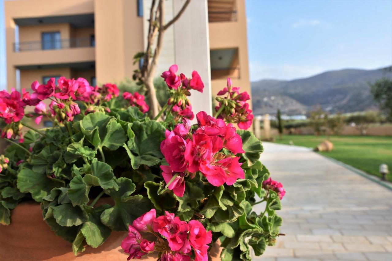 Golden Bay Hotel Apartments Malia Eksteriør bilde